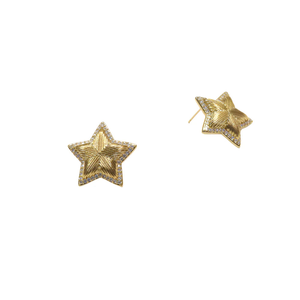 19748 STAR EARRING