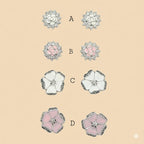 (2-3130) 925 Sterling Silver - Flower Stud Earrings.
