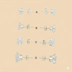 (2-3031) Pendientes de plata de ley 925 con circonitas. 