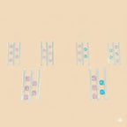 (2-6399) Conjunto Plata Ley 925 - Circonitas.