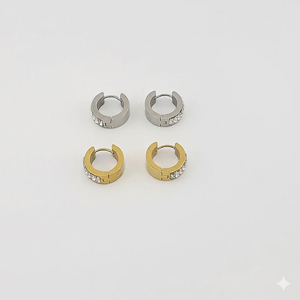 (4-2141) Stainless Steel - Zircon Hoops.