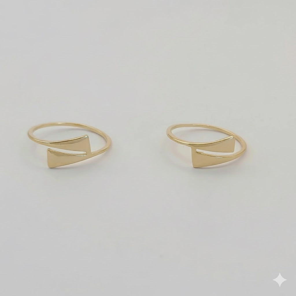 (1-3013-3) Anillo grueso laminado en oro - BGFm